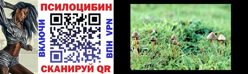 Галлюциногенные грибы Psilocybe магазин наркотиков ссылка на мегу ССЫЛКА Обь